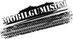 Mobilgumisom — Optimalizált client