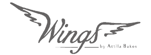 Wings Beauty — Optimalizált client reference